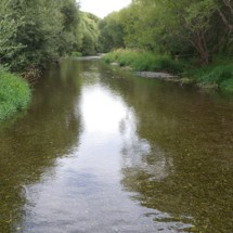 Selwyn River