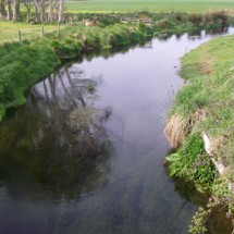 Waimate Creek