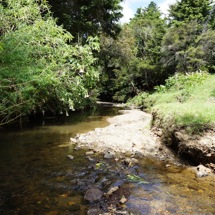 Waiarohia Stream