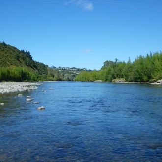 Wellington Region