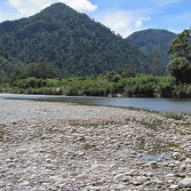 Aorere River
