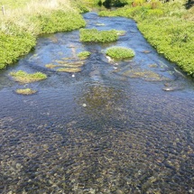 Motupipi River