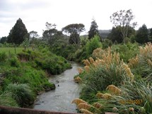 Waitetuna River