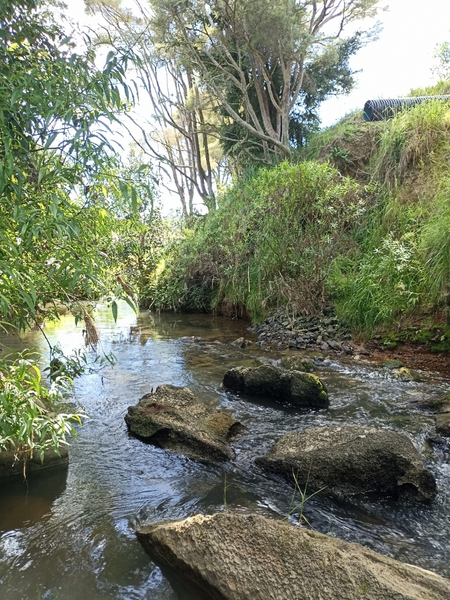 Ohautira Stream