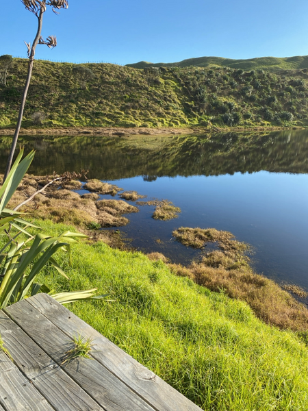 Lake Kohahuake (Parkinsons)
