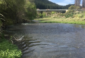 Esk River at Waipunga Bridge