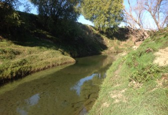 Kopuawhara Stream at Railway Bridge
