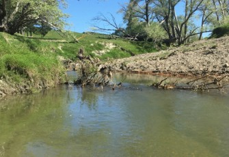 Mangakuri River at Kairakau