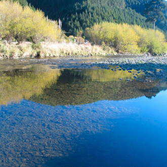 Nelson region