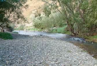 Wakapuaka at Māori Pa Rd