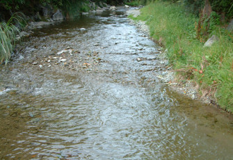 Brook at Manuka St