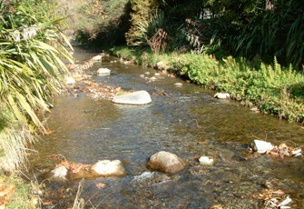 Brook at Burn Pl