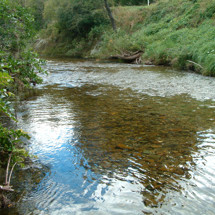 Wakapuaka River