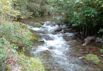 Wakapuaka at Duckpond Rd