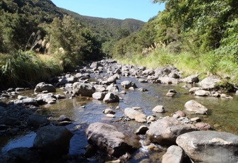 Mangatainoka at Putara