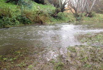 Mangatera at Dannevirke