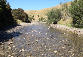 Mangatera at u/s Manawatu confluence