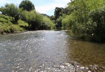 Tiraumea at Ngaturi