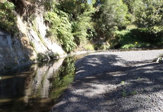 Raparapawai at Jackson Rd