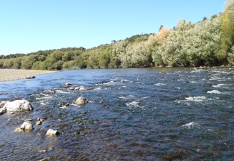 Manawatu at Upper Gorge