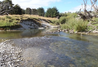 Manawatu at Weber Road