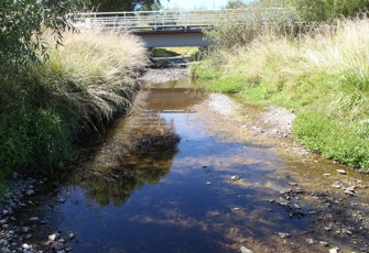 Mangapapa at Troup Rd