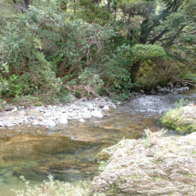 Whangamoa River