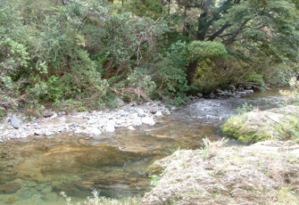 Whangamoa at Hippolite Rd