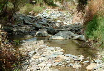 Poorman at Barnicoat Walkway