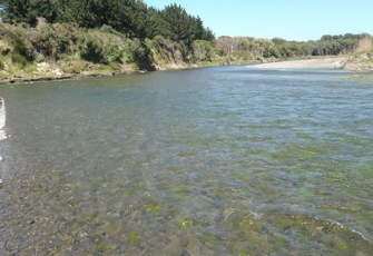 Rangitikei at McKelvies