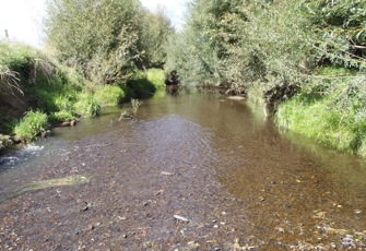 Waikawa Stream at Huritini