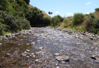 Waikawa at North Manakau Road