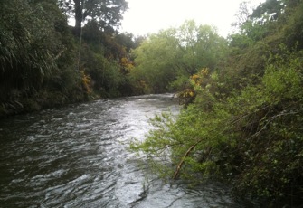 Tokiahuru at u/s Whangaehu confluence