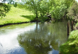 Mangawhero at Pakihi Rd Bridge