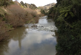 Mangawhero at Raupiu Road