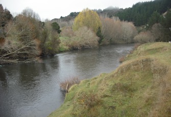 Ongarue at Taringamotu