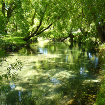 Kaituna