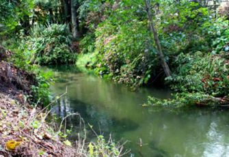 Utuhina Stream @ Lake Road 002