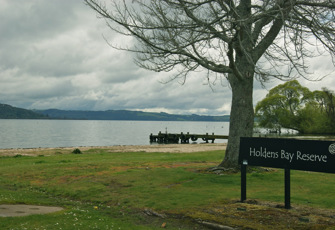 Lake Rotorua @ Holdens Bay