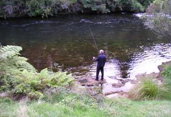 Kaituna River @ Trout Pool Rd