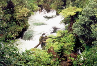 Kaituna River @ Trout Pool Rd 002