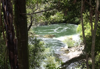 Kaituna River @ Trout Pool Rd 003