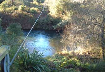 Rangitaiki River at Old Bridge at Murupara