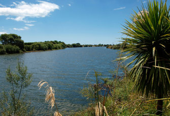 Rangitaiki River @ Thornton Domain 003