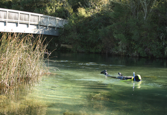 Tarawera River at Lake Outlet