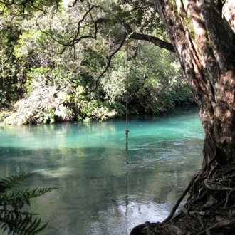 Bay of Plenty region