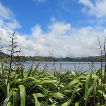 Tarawera