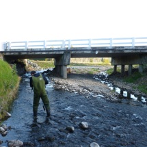Waitekohe