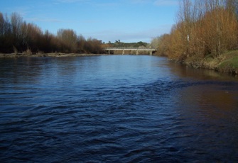 Whakatane at Pekatahi Bridge 002