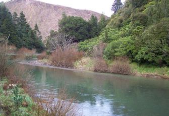 Tauranga River @ Wardlaw